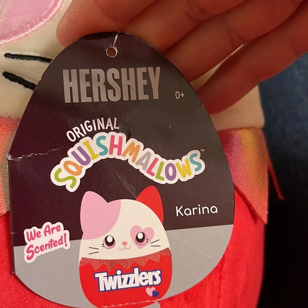 Squishmallows Official Kellytoys Plush 10 Inch Karina the Cat Twizzlers Scented